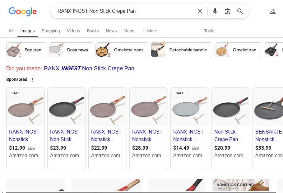 Google Search Results for RANX INGST Pancake Pan